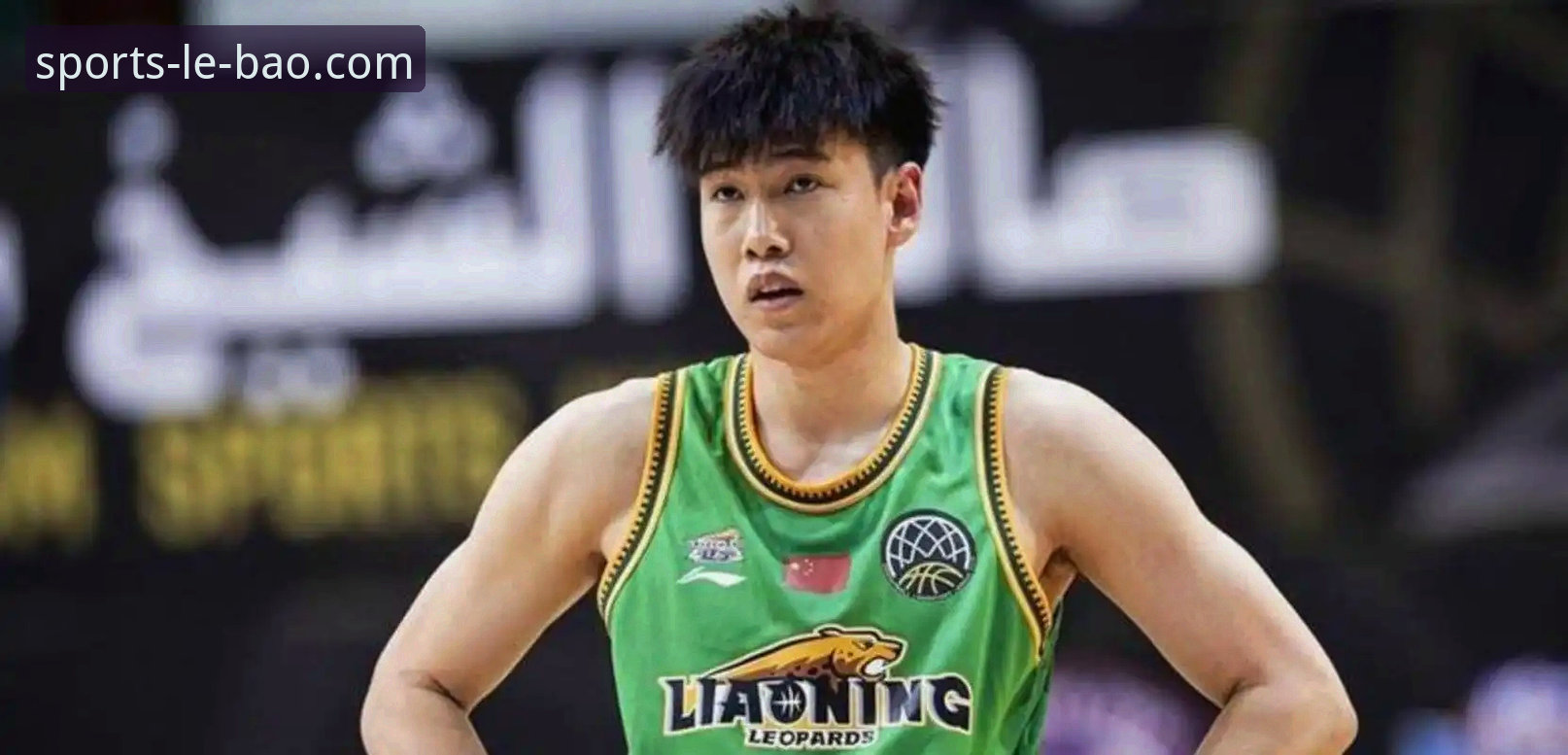 辽宁队G2失利深度剖析：乌戈用人策略引发激烈讨论，乐宝体育平台v4.2.0版本用户反馈炸裂