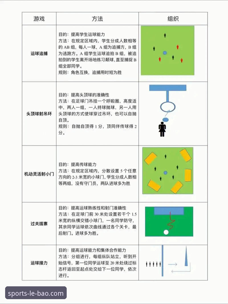 7种创新视角下的乐宝体育玩法：从新手到达人的进阶指南